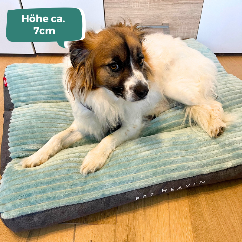 Pet Heaven Schlafmatte in Cord-Optik für kleine bis (mittel-)große Hunde