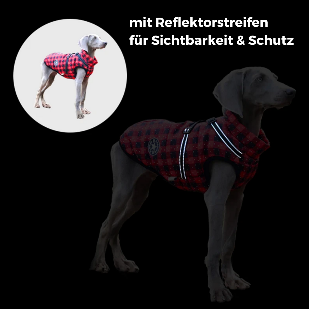 LuckyDog Hundemantel mit Fleece-Futter und Hundegeschirr - warm und fit durch den Winter