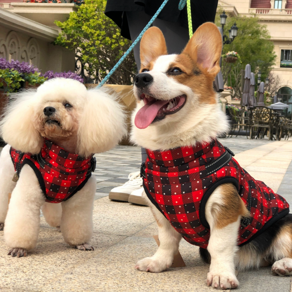 LuckyDog Hundemantel mit Fleece-Futter und Hundegeschirr - warm und fit durch den Winter