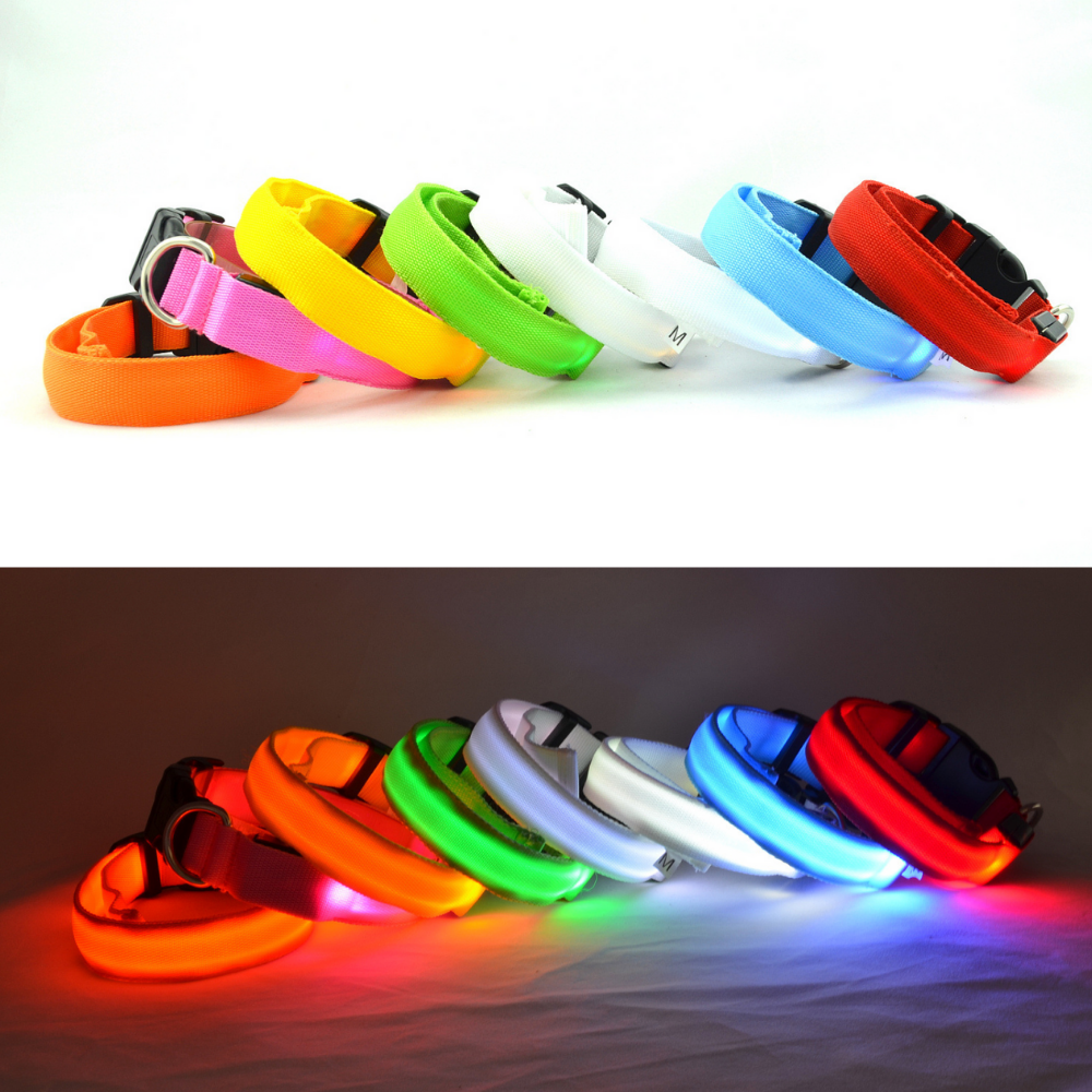 Glowy LED Hundehalsband - für Sicherheit im Dunkeln