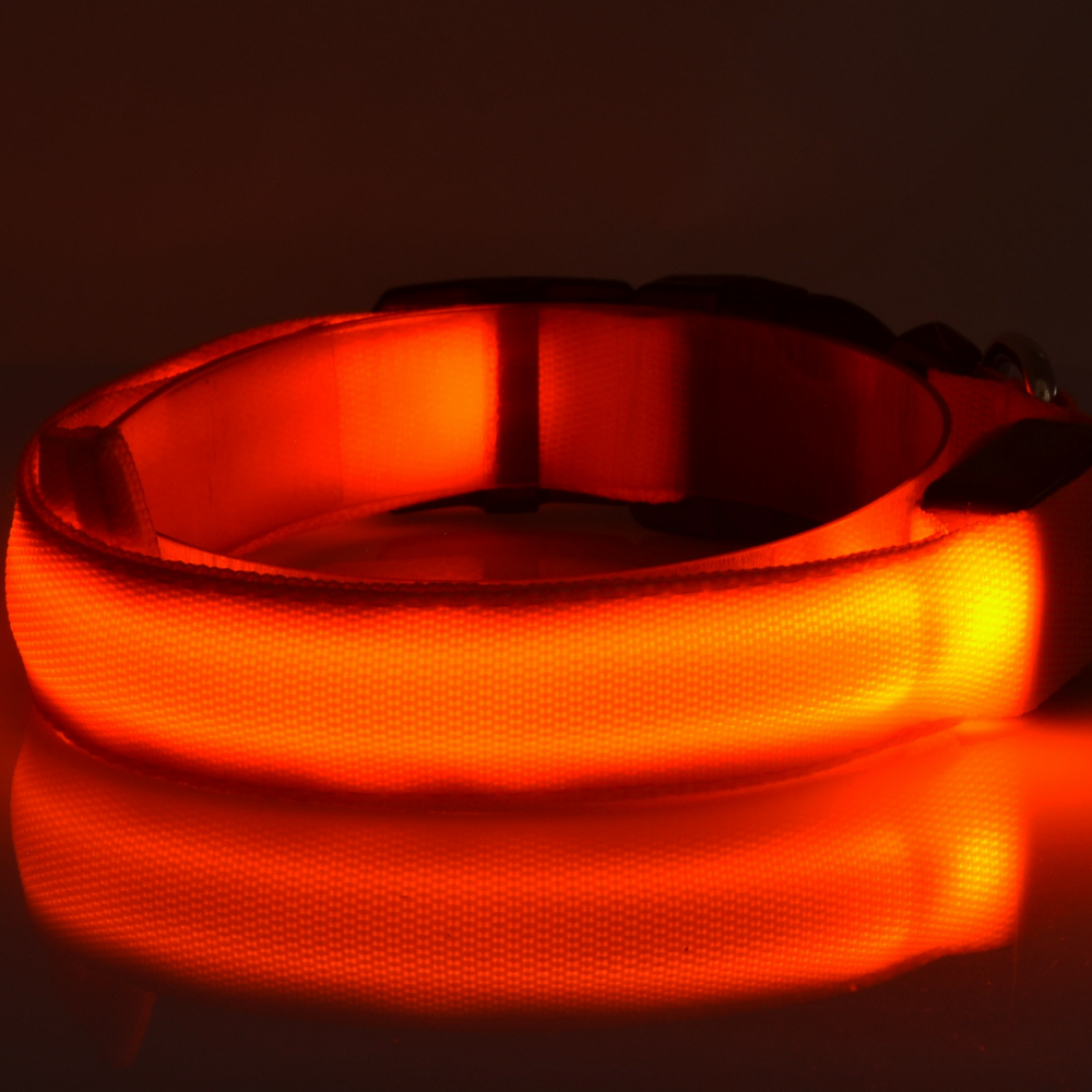 Glowy LED Hundehalsband - für Sicherheit im Dunkeln