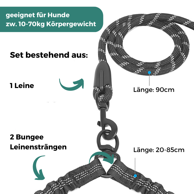 TwinDogs Zwillingsleine für 2 Hunde mit 360° Schwenkung ohne verheddern
