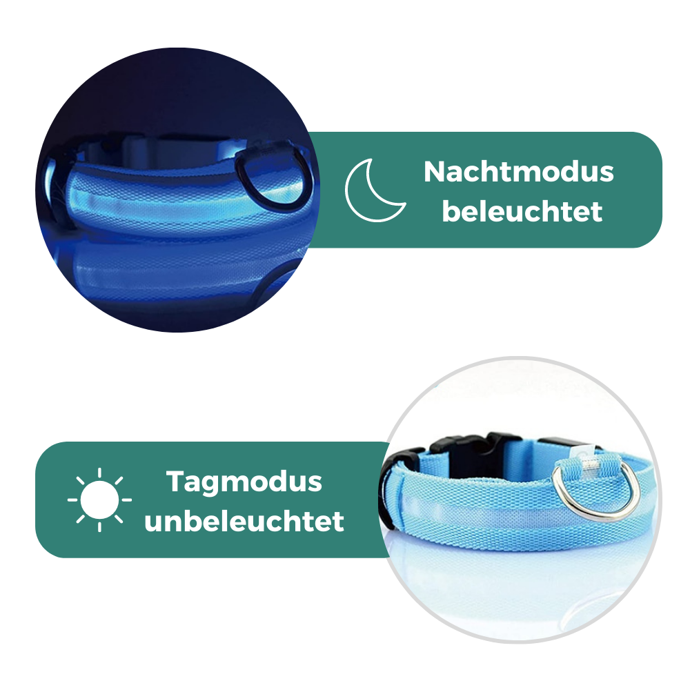 Glowy LED Hundehalsband - für Sicherheit im Dunkeln