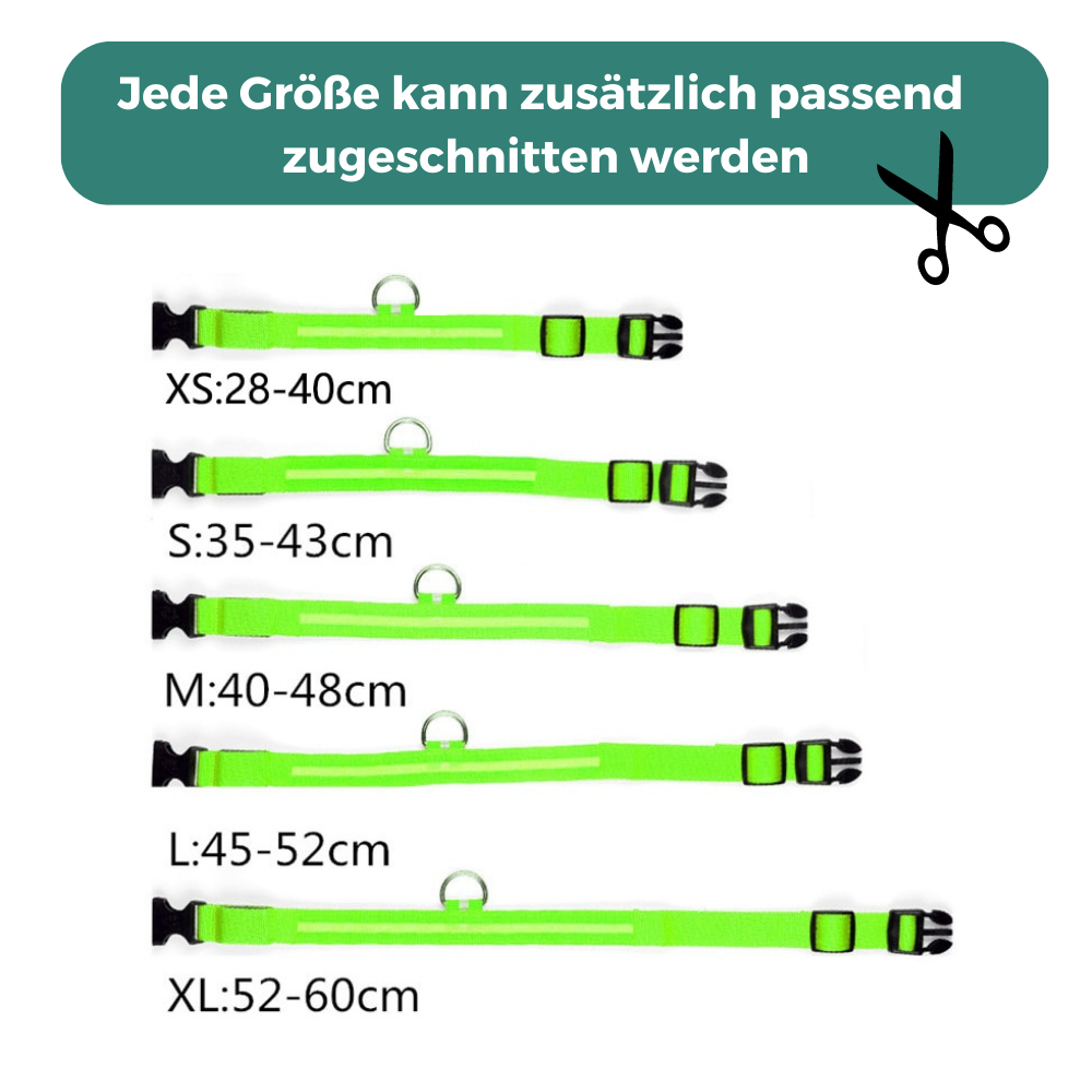 Glowy LED Hundehalsband - für Sicherheit im Dunkeln