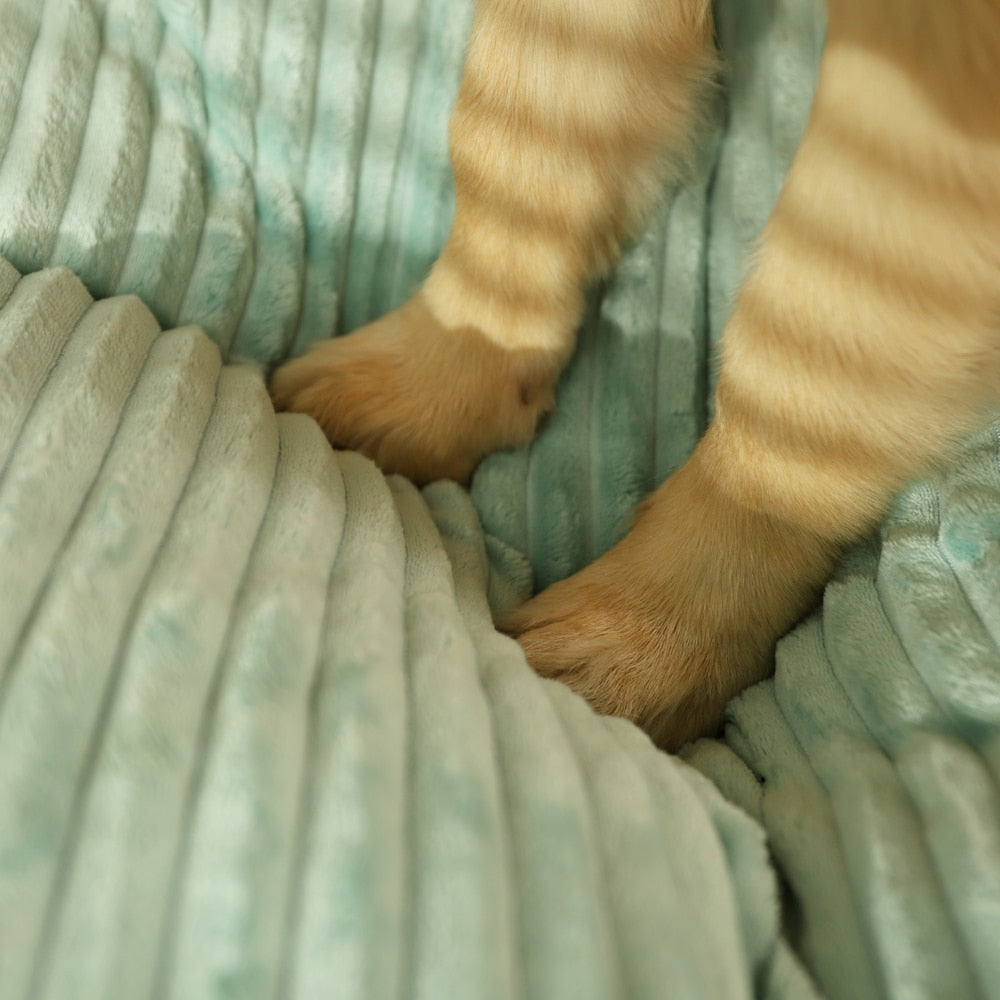 Pet Heaven Schlafmatte in Cord-Optik für kleine bis (mittel-)große Hunde