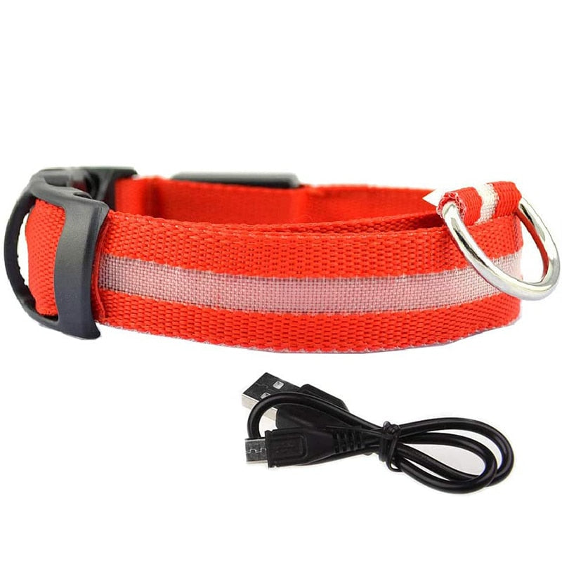 Glowy LED Hundehalsband - für Sicherheit im Dunkeln