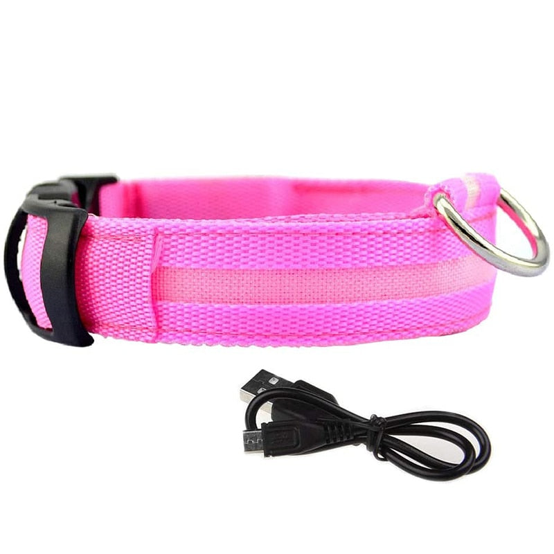 Glowy LED Hundehalsband - für Sicherheit im Dunkeln