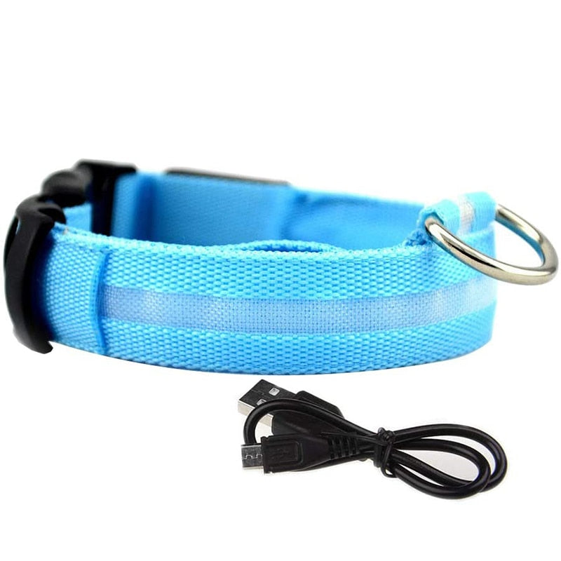 Glowy LED Hundehalsband - für Sicherheit im Dunkeln
