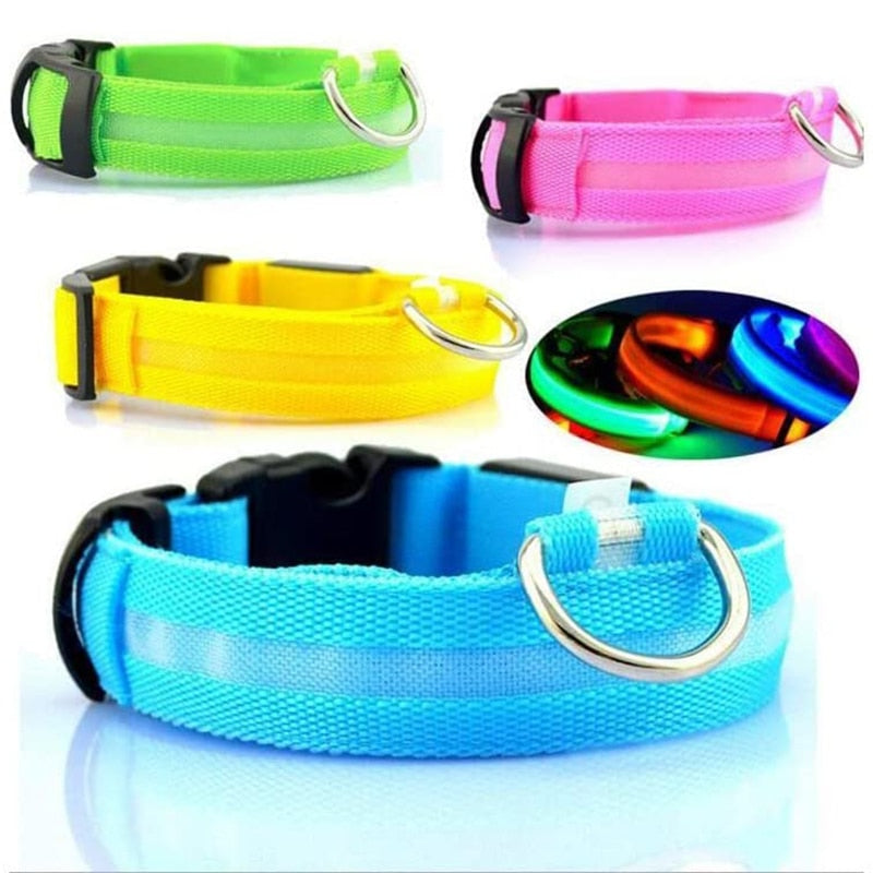 Glowy LED Hundehalsband - für Sicherheit im Dunkeln