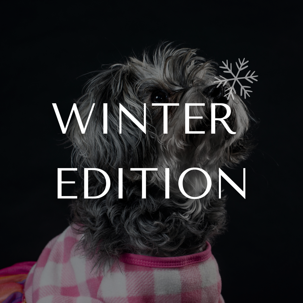 WINTER EDITION❄️
