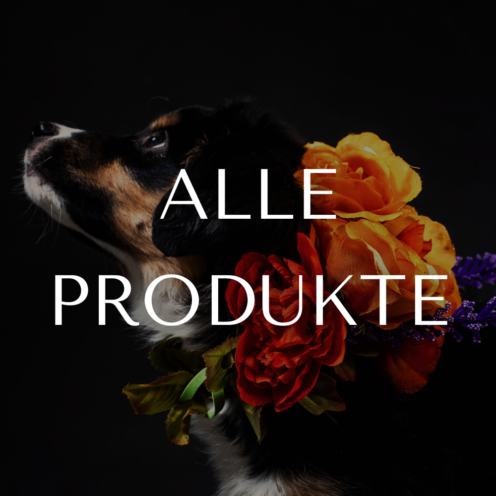 ALLE PRODUKTE