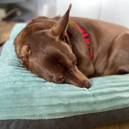 Pet Heaven Schlafmatte in Cord-Optik für kleine bis (mittel-)große Hunde