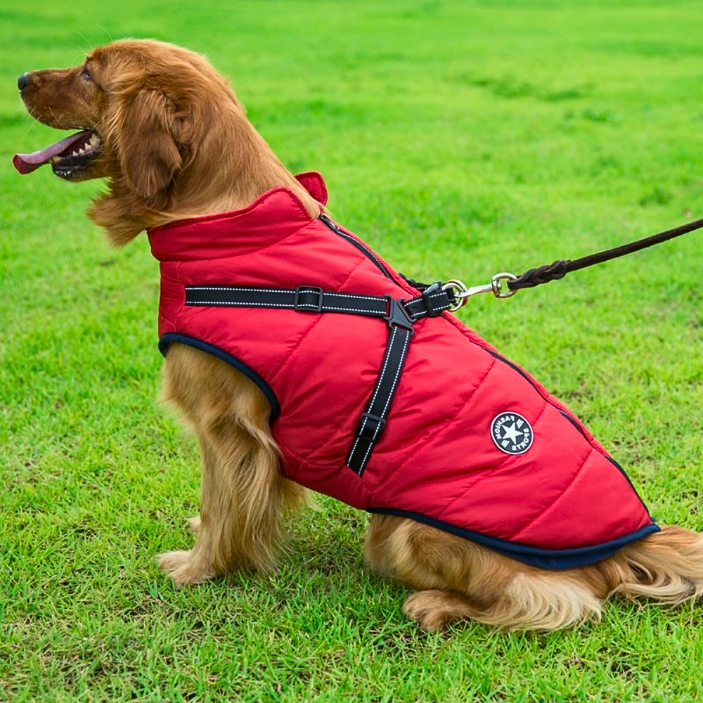 LuckyDog Hundemantel mit Fleece-Futter und Hundegeschirr - warm und fit durch den Winter