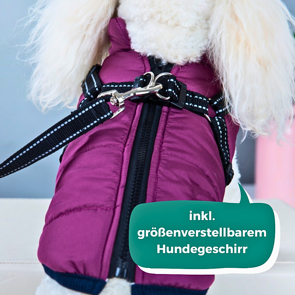 LuckyDog Hundemantel mit Fleece-Futter und Hundegeschirr - warm und fit durch den Winter
