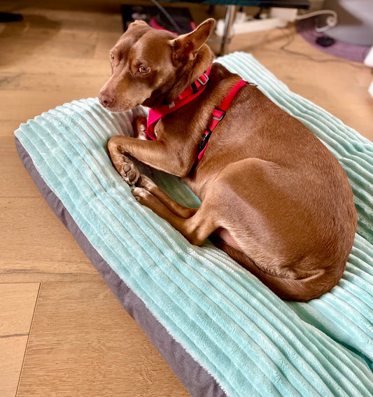 Pet Heaven Schlafmatte in Cord-Optik für kleine bis (mittel-)große Hunde