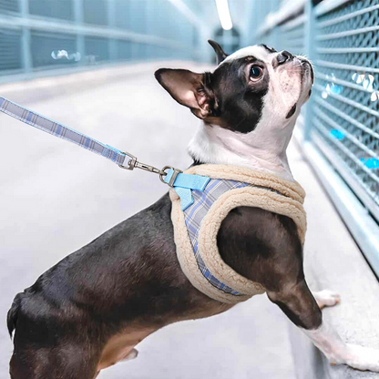 Weiches Hundegeschirr "Softie" in niedlichem Karo-Muster, inkl. Leine