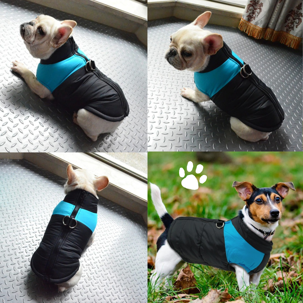 Kaltgefütterter HappyDog Hundemantel - für entspannte Winter-Spaziergänge