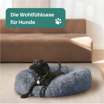 Traumwolke Hundebett - erholsamer, gesunder Schlaf wie auf Wolke 7