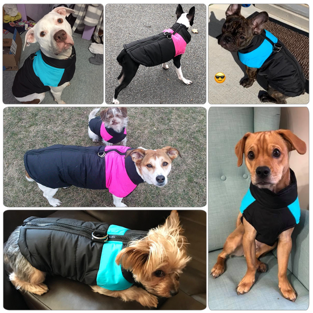 Kaltgefütterter HappyDog Hundemantel - für entspannte Winter-Spaziergänge