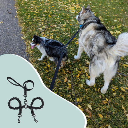 TwinDogs Zwillingsleine für 2 Hunde mit 360° Schwenkung ohne verheddern