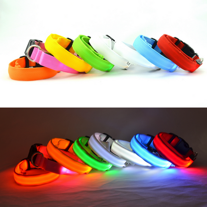 Glowy LED Hundehalsband - für Sicherheit im Dunkeln