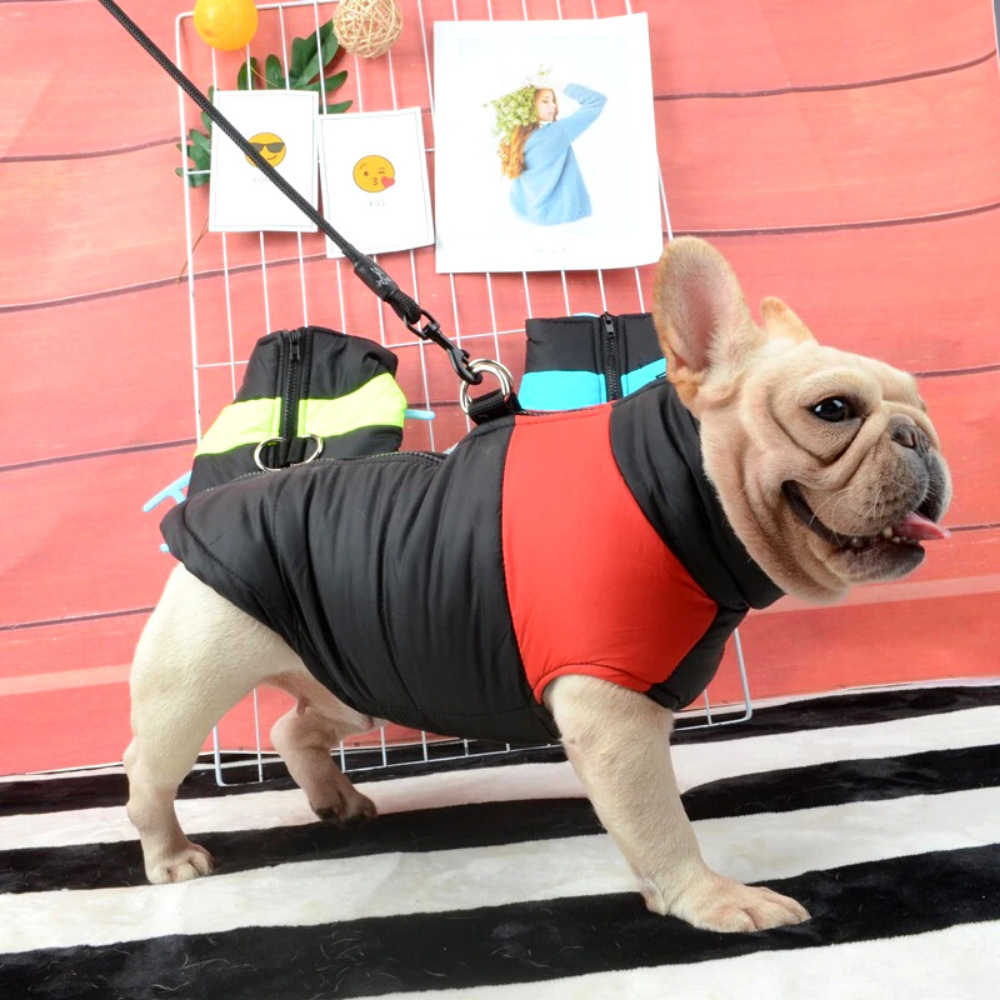 Kaltgefütterter HappyDog Hundemantel - für entspannte Winter-Spaziergänge