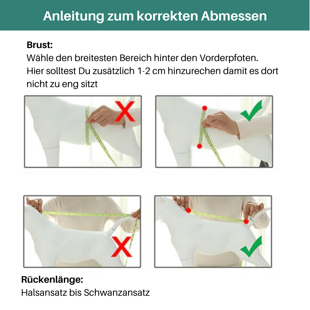 LuckyDog Hundemantel mit Fleece-Futter und Hundegeschirr - warm und fit durch den Winter