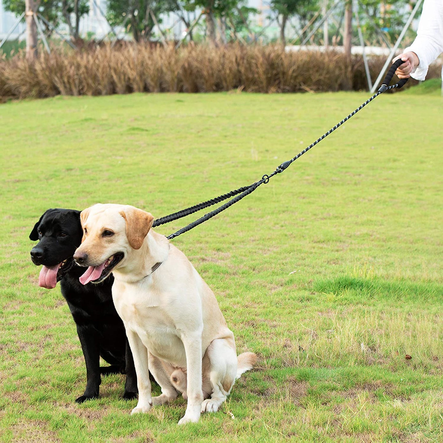 TwinDogs Zwillingsleine für 2 Hunde mit 360° Schwenkung ohne verheddern