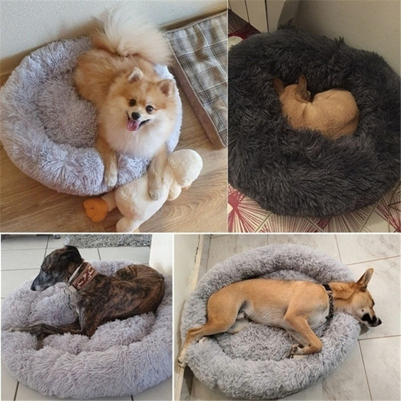 Traumwolke Hundebett - erholsamer, gesunder Schlaf wie auf Wolke 7
