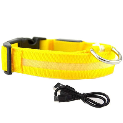 Glowy LED Hundehalsband - für Sicherheit im Dunkeln