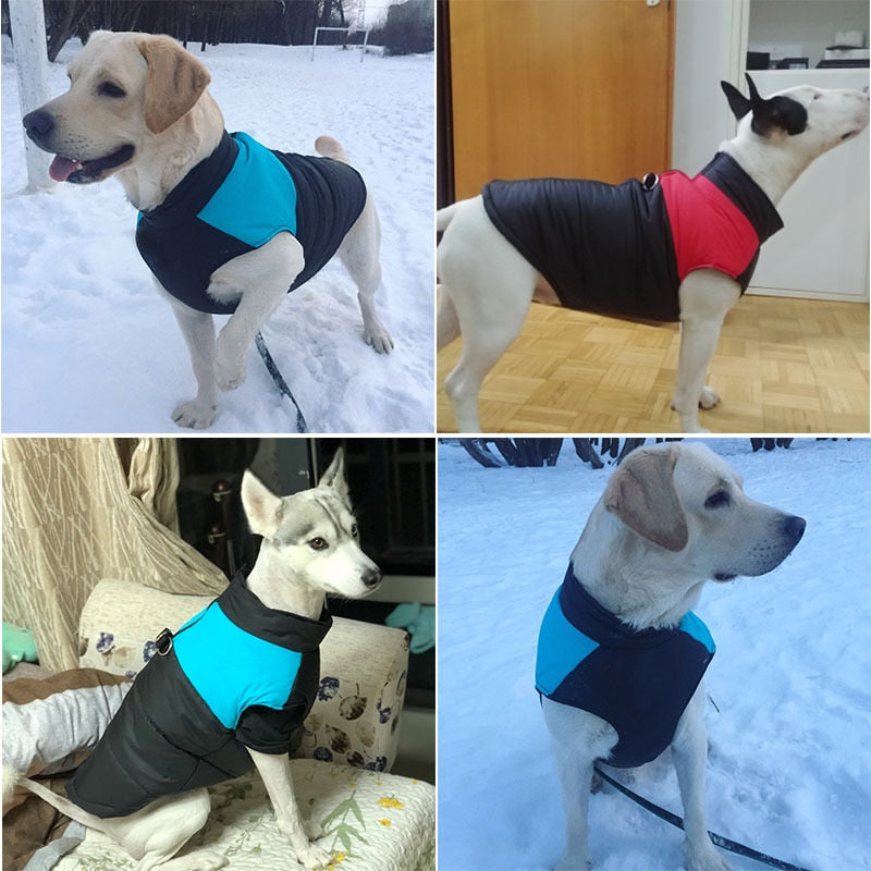 Kaltgefütterter HappyDog Hundemantel - für entspannte Winter-Spaziergänge