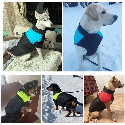 Kaltgefütterter HappyDog Hundemantel - für entspannte Winter-Spaziergänge