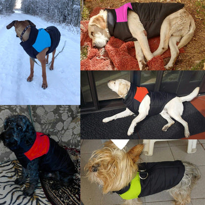Kaltgefütterter HappyDog Hundemantel - für entspannte Winter-Spaziergänge